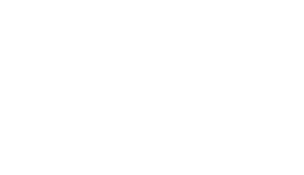 VIP Ankara